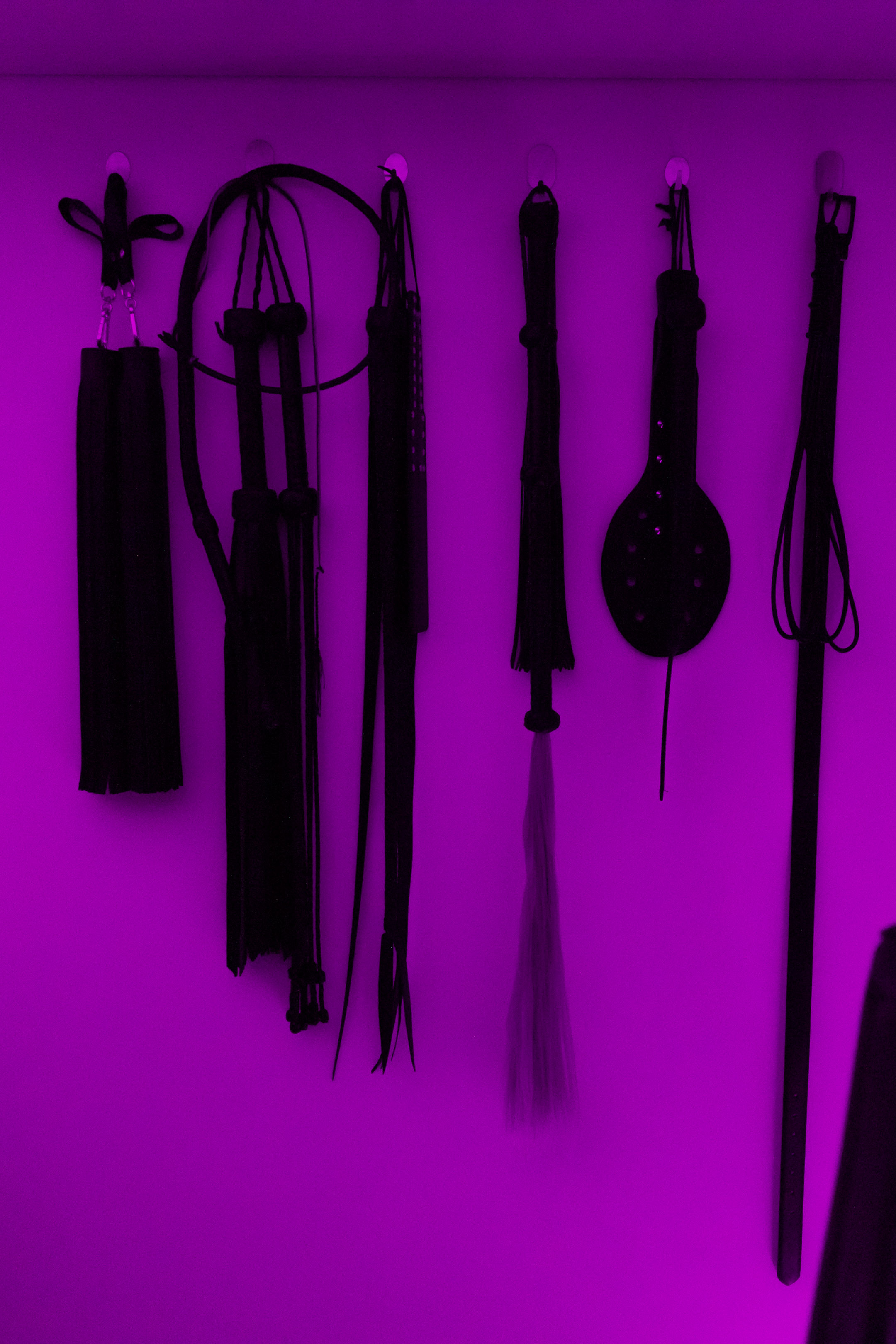 Miss Ayla Reid's Melbourne Femdom BDSM Dungeon