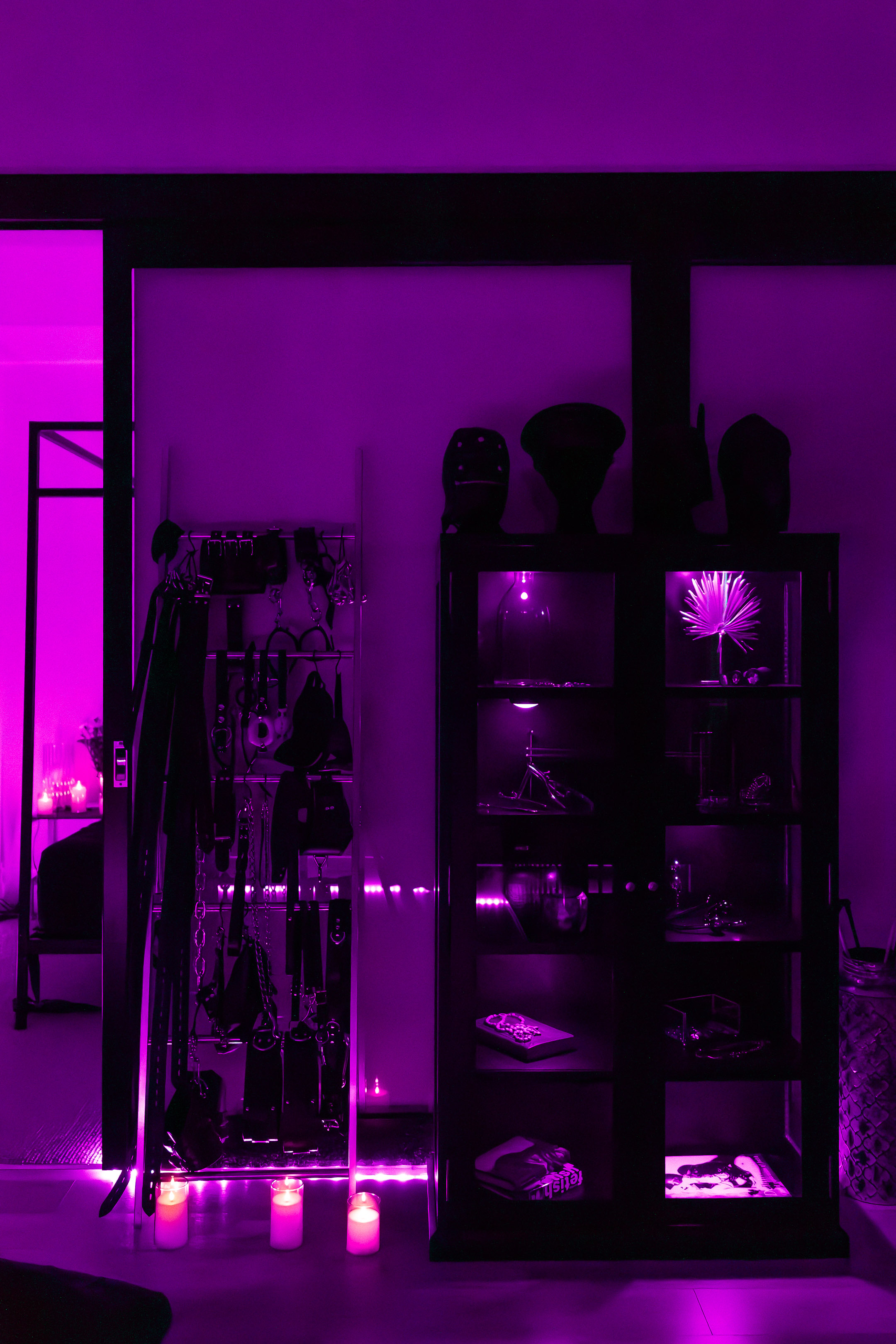 Miss Ayla Reid's Melbourne Femdom BDSM Dungeon